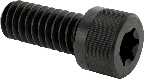 Torx Alaşımlı Çelik Soket Başlı Vidalar, 1/4"-20 Diş Boyutu, 5/8" Uzunluk