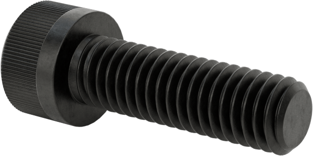 Torx Alaşımlı Çelik Soket Başlı Vidalar, 10-32 Diş Boyutu, 5/8" Uzunluk
