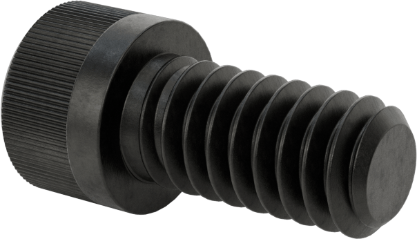 Torx Alaşımlı Çelik Soket Başlı Vidalar, 1/4"-20 Diş Boyutu, 1/2" Uzunluk