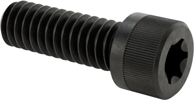 Torx Alaşımlı Çelik Soket Başlı Vidalar, 1/4"-20 Diş Boyutu, 3/4" Uzunluk