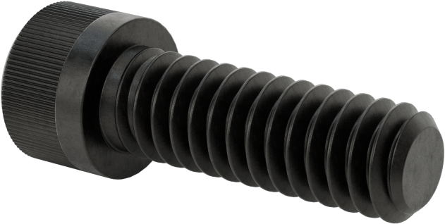 Torx Alaşımlı Çelik Soket Başlı Vidalar, 1/4"-20 Diş Boyutu, 3/4" Uzunluk