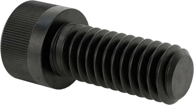 Torx Alaşımlı Çelik Soket Başlı Vidalar, 5/16"-18 Diş Boyutu, 3/4" Uzunluk
