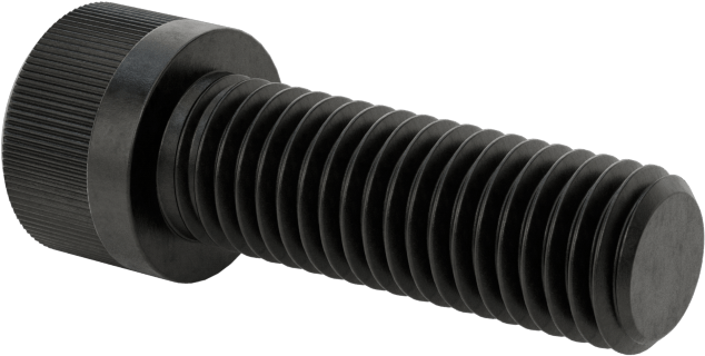Torx Alaşımlı Çelik Soket Başlı Vidalar, 1/4"-28 Diş Boyutu, 3/4" Uzunluk