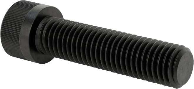 Torx Alaşımlı Çelik Soket Başlı Vidalar, 1/4"-28 Diş Boyutu, 1" Uzunluk