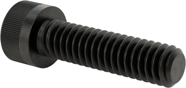 Torx Alaşımlı Çelik Soket Başlı Vidalar, 8-32 Diş Boyutu, 5/8" Uzunluk