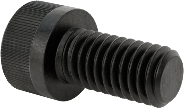 Torx Alaşımlı Çelik Soket Başlı Vidalar, 10-32 Diş Boyutu, 3/8" Uzunluk