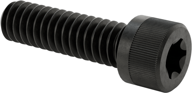 Torx Alaşımlı Çelik Soket Başlı Vidalar, 1/4"-20 Diş Boyutu, 7/8" Uzunluk