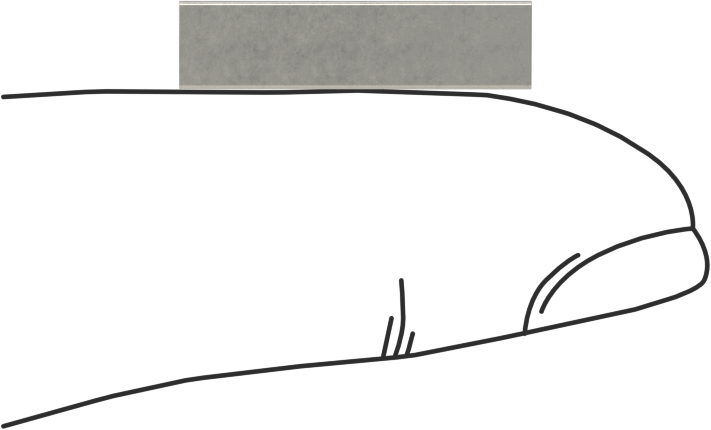 18-8 Paslanmaz Çelik Makine Anahtarı, 3/16" x 3/16", 3/4" Uzunluk, Büyük Boy