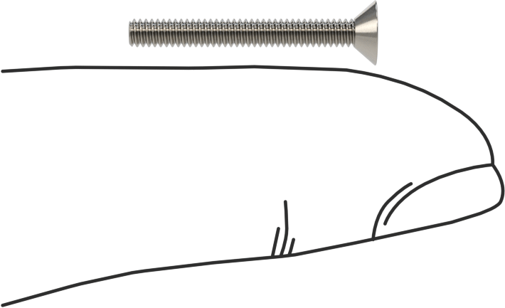 18-8 Paslanmaz Çelik Torx Düz Başlı Vidalar, Torx Plus, 2-56 Diş Boyutu, 3/4" Uzunluk