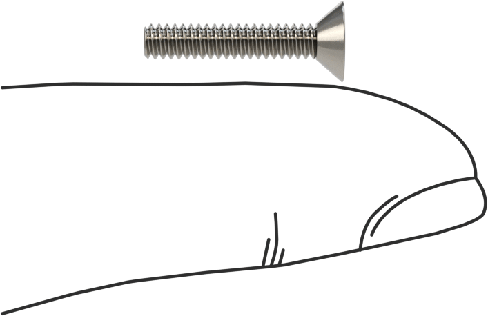 18-8 Paslanmaz Çelik Torx Düz Başlı Vidalar, Torx Plus, 4-40 Diş Boyutu, 5/8" Uzunluk