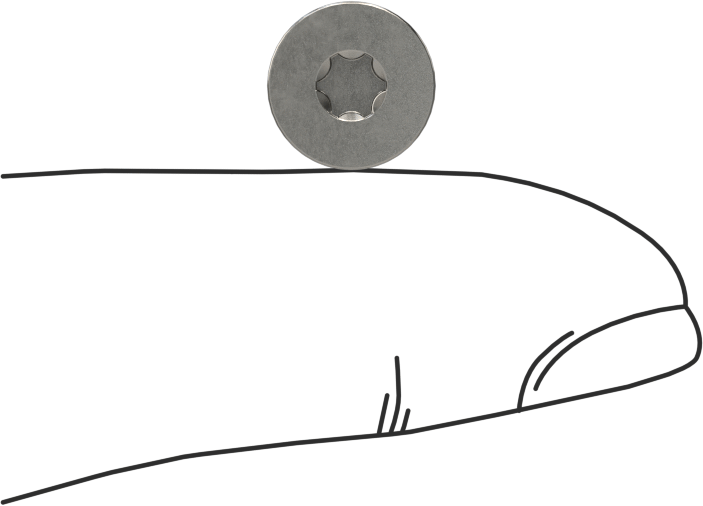 18-8 Paslanmaz Çelik Torx Düz Başlı Vidalar, Torx Plus, 8-32 Diş Boyutu, 5/16" Uzunluk