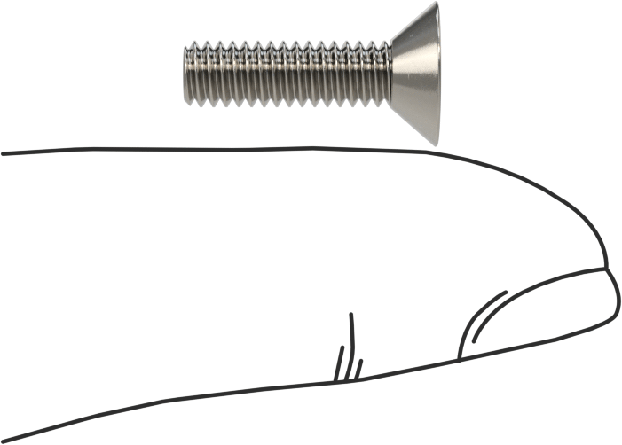 18-8 Paslanmaz Çelik Torx Düz Başlı Vidalar, Torx Plus, 8-32 Diş Boyutu, 5/8" Uzunluk
