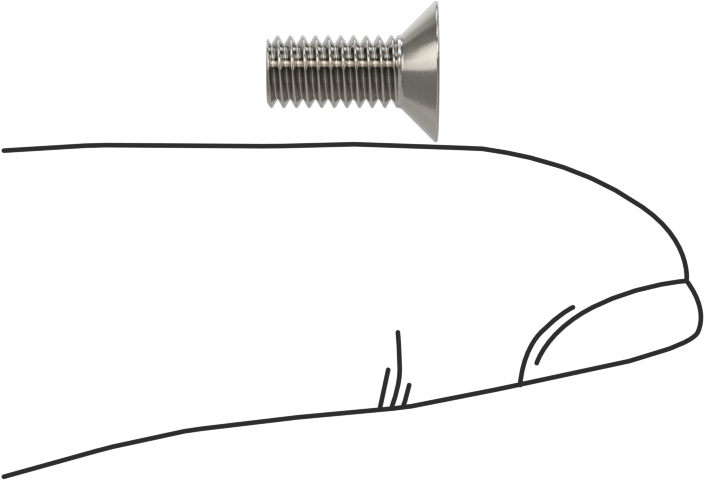 18-8 Paslanmaz Çelik Torx Düz Başlı Vidalar, Torx Plus, M4 x 0,7 mm Diş Boyutu, 10 mm Uzunluk