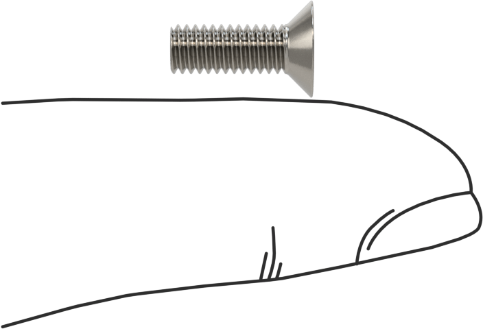 18-8 Paslanmaz Çelik Torx Düz Başlı Vidalar, Torx Plus, M4 x 0,7 mm Diş Boyutu, 12 mm Uzunluk