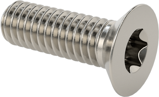 18-8 Paslanmaz Çelik Torx Düz Başlı Vidalar, M2,5 x 0,45 mm Diş Boyutu, 8 mm Uzunluk