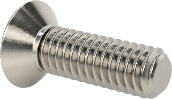 18-8 Paslanmaz Çelik Torx Düz Başlı Vidalar, M2,5 x 0,45 mm Diş Boyutu, 8 mm Uzunluk