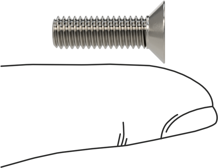 18-8 Paslanmaz Çelik Torx Düz Başlı Vidalar, M6 x 1 mm Diş Boyutu, 20 mm Uzunluk