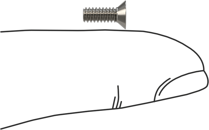 18-8 Paslanmaz Çelik Torx Düz Başlı Vidalar, Torx Plus, 4-40 Diş Boyutu, 5/16" Uzunluk