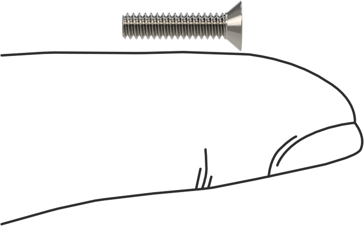 18-8 Paslanmaz Çelik Torx Düz Başlı Vidalar, Torx Plus, 4-40 Diş Boyutu, 1/2" Uzunluk