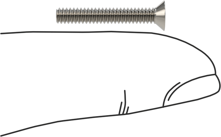 18-8 Paslanmaz Çelik Torx Düz Başlı Vidalar, Torx Plus, 4-40 Diş Boyutu, 3/4" Uzunluk