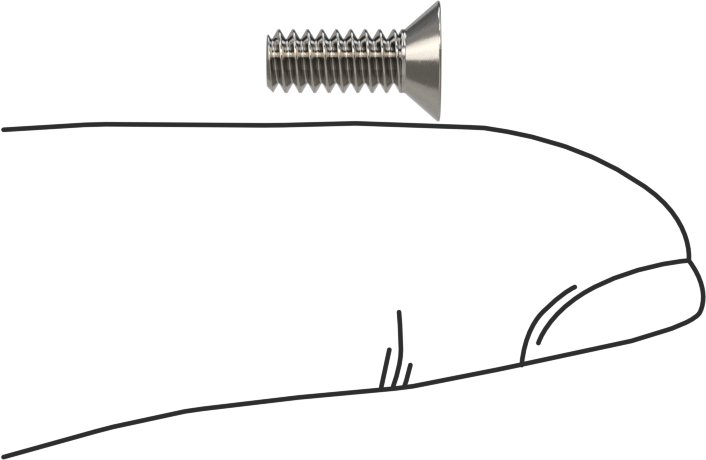 18-8 Paslanmaz Çelik Torx Düz Başlı Vidalar, Torx Plus, 6-32 Diş Boyutu, 3/8" Uzunluk