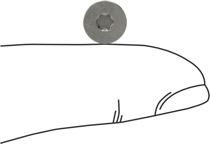 18-8 Paslanmaz Çelik Torx Düz Başlı Vidalar, Torx Plus, 8-32 Diş Boyutu, 1/4" Uzunluk