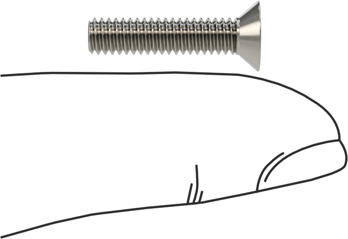18-8 Paslanmaz Çelik Torx Düz Başlı Vidalar, Torx Plus, 8-32 Diş Boyutu, 3/4" Uzunluk