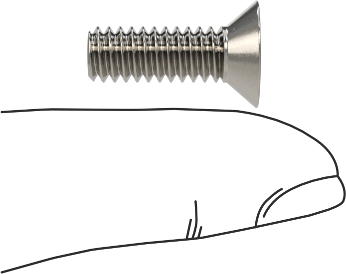 18-8 Paslanmaz Çelik Torx Düz Başlı Vidalar, Torx Plus, 1/4"-20 Diş Boyutu, 3/4" Uzunluk