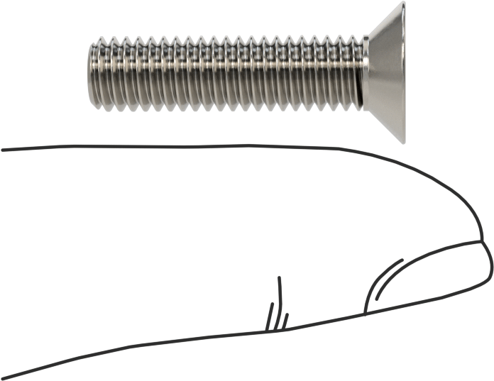 18-8 Paslanmaz Çelik Torx Düz Başlı Vidalar, M6 x 1 mm Diş Boyutu, 25 mm Uzunluk
