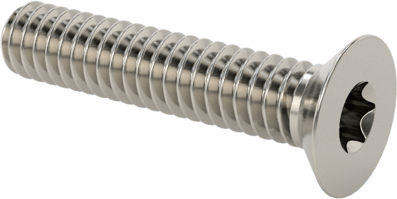 18-8 Paslanmaz Çelik Torx Düz Başlı Vidalar, M2 x 0,4 mm Diş Boyutu, 10 mm Uzunluk
