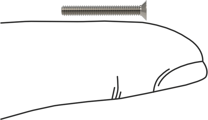 18-8 Paslanmaz Çelik Torx Düz Başlı Vidalar, M2 x 0,4 mm Diş Boyutu, 16 mm Uzunluk
