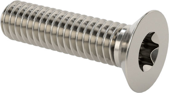 18-8 Paslanmaz Çelik Torx Düz Başlı Vidalar, M2,5 x 0,45 mm Diş Boyutu, 10 mm Uzunluk