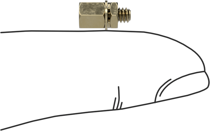 12L14 Carbon Steel Jack Screws, for Unthreaded Hole, Zinc-Yellow-Chromate-Plated, 3/16" Long Thread