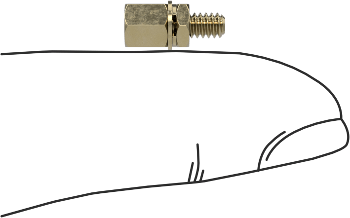 12L14 Carbon Steel Jack Screws, for Unthreaded Hole, Zinc-Yellow-Chromate-Plated, 1/4" Long Thread