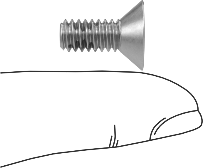 Diş Kilitlemeli Paslanmaz Çelik Altıgen Tahrikli Düz Başlı Vidalar, 1/4"-20 Diş, 5/8" Uzunluk