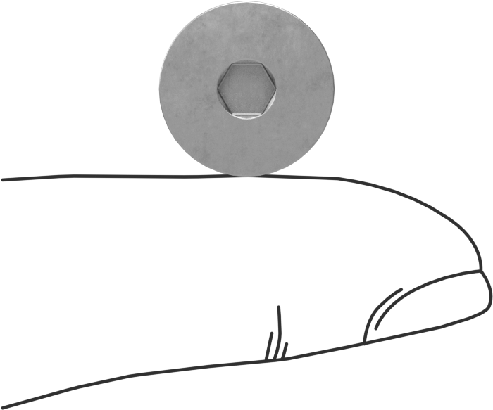 Diş Kilitlemeli Paslanmaz Çelik Altıgen Tahrikli Düz Başlı Vidalar, 1/4"-20 Diş, 3/8" Uzunluk