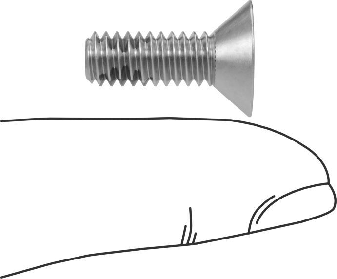 Diş Kilitlemeli Paslanmaz Çelik Altıgen Tahrikli Düz Başlı Vidalar, 1/4"-20 Diş, 3/4" Uzunluk