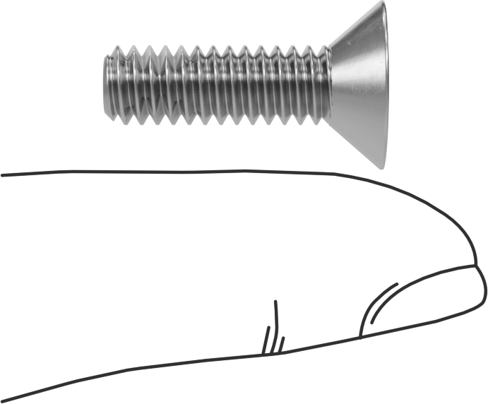 Diş Kilitlemeli Paslanmaz Çelik Altıgen Tahrikli Düz Başlı Vidalar, 1/4"-20 Diş, 7/8" Uzunluk