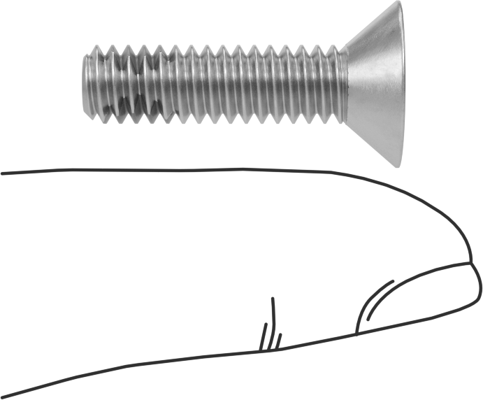 Diş Kilitlemeli Paslanmaz Çelik Altıgen Tahrikli Düz Başlı Vidalar, 1/4"-20 Diş, 1" Uzunluk