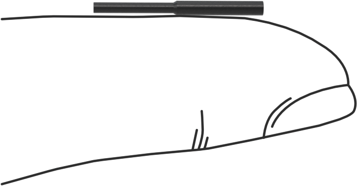 Çekmeli Yuvarlak Tapalar, Kimyasal Dayanıklı, 1/16" İç Çap için, 3/8" Yükseklik