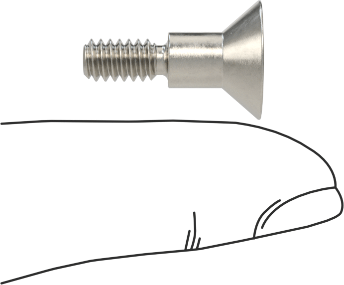18-8 Paslanmaz Çelik Omuzlu Vida, 1/4" Omuz Çapı, 1/4" Omuz Uzunluğu, 10-24 Diş