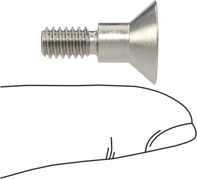 18-8 Paslanmaz Çelik Omuzlu Vida, 5/16" Omuz Çapı, 1/4" Omuz Uzunluğu, 1/4"-20 Diş