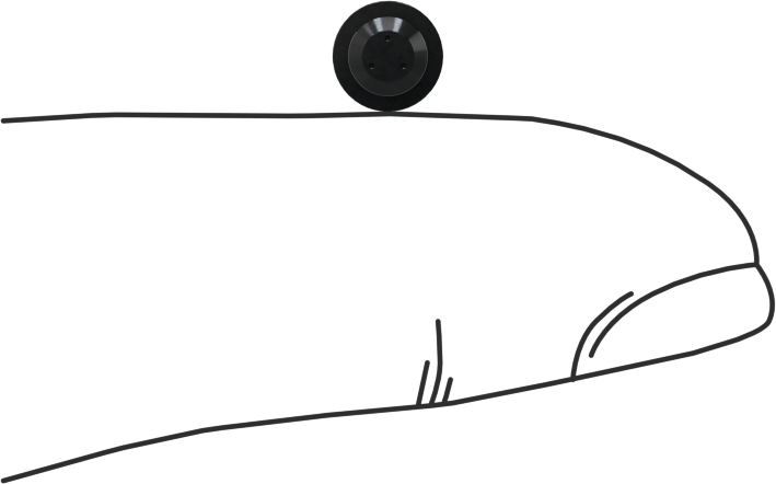 SBR Kauçuk Tak ve Sabitle Tampon, 1/8“ iç çap ve 1/16” kalınlık için, 5/32" Sırt Çapı, 3/32" Yükseklik