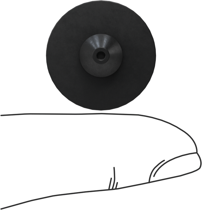SBR Kauçuk Tamponlar, İt ve Sabitle, 1/8" İç Çap için, 11/32" Sırt Çapı