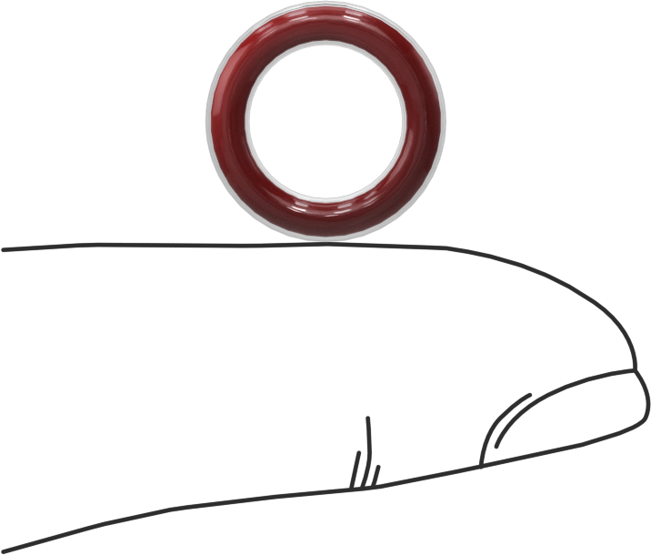 Kimyasal Dayanıklı FEP Kaplı Silikon O-Ring, Düşük Sıcaklık, 3/32 Kesirli Genişlik, Dash No. 110