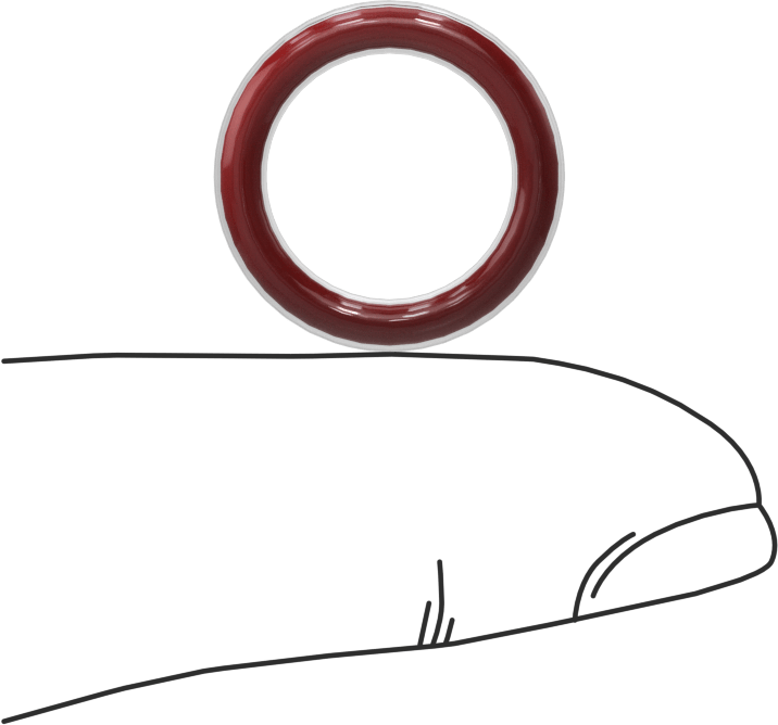 Kimyasal Dayanıklı FEP Kaplı Silikon O-Ring, Düşük Sıcaklık, 3/32 Kesirli Genişlik, Dash No. 112
