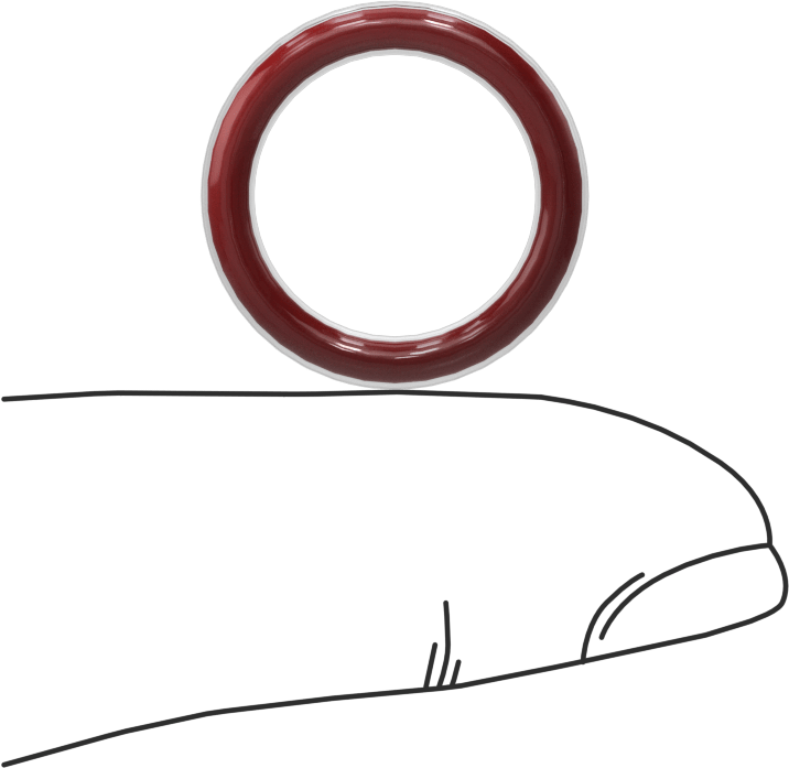 Kimyasal Dayanıklı FEP Kaplı Silikon O-Ring, Düşük Sıcaklık, 3/32 Kesirli Genişlik, Dash No. 113