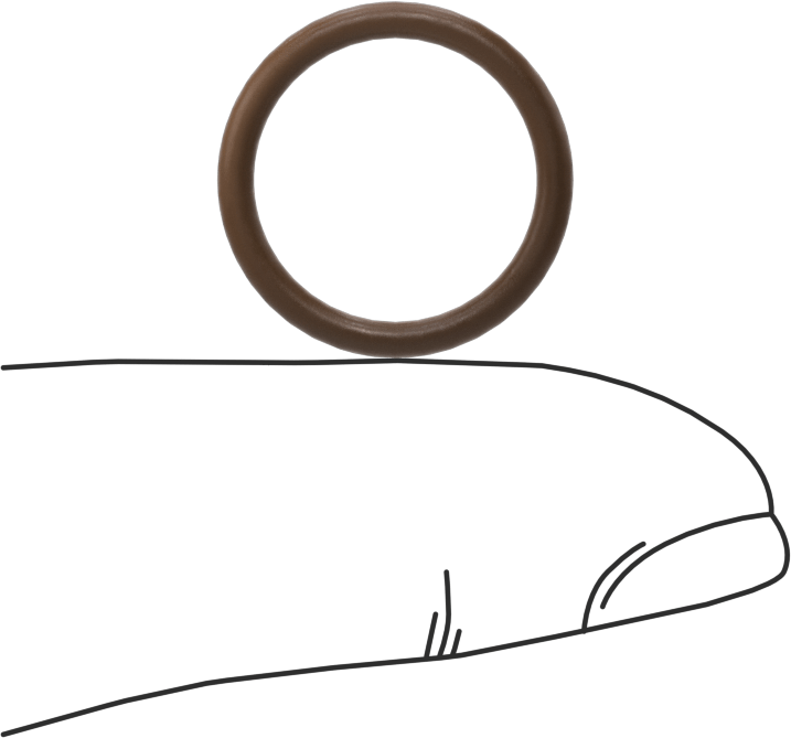Düşük Gaz Salınımlı Kimyasal Dayanıklı O-Ringler, Yumuşak Viton® Floroelastomer, Dash No. 015