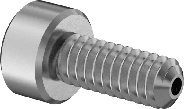 Havalandırmalı Soket Başlı Vida, M2 x 0,4 mm Diş, 5 mm Uzunluk