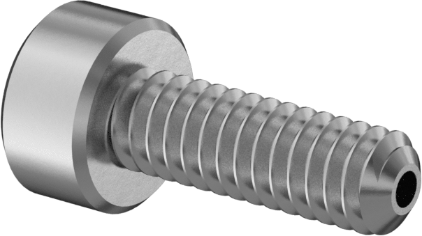 Havalandırmalı Soket Başlı Vida, M2 x 0,4 mm Diş, 6 mm Uzunluk